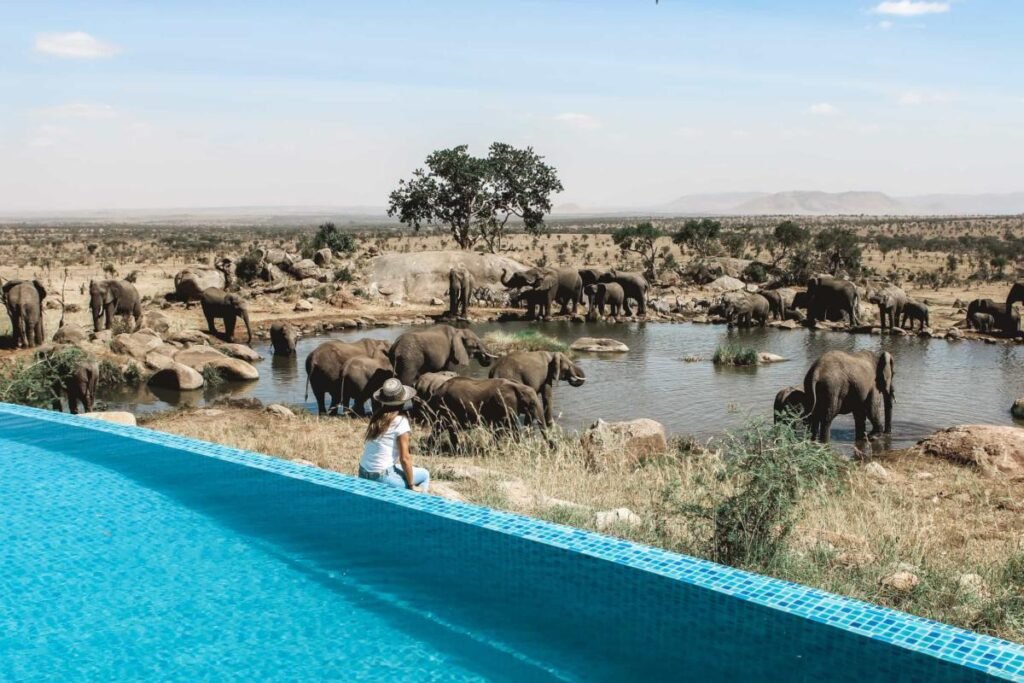 9 Stunning Infinity Pool Destinations 23 elephants water hole 85QYv 3