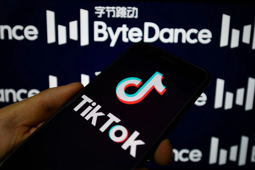 TikTok would be prohibited on government gadgets under a comprehensive spending plan. 10 TikTok Banned