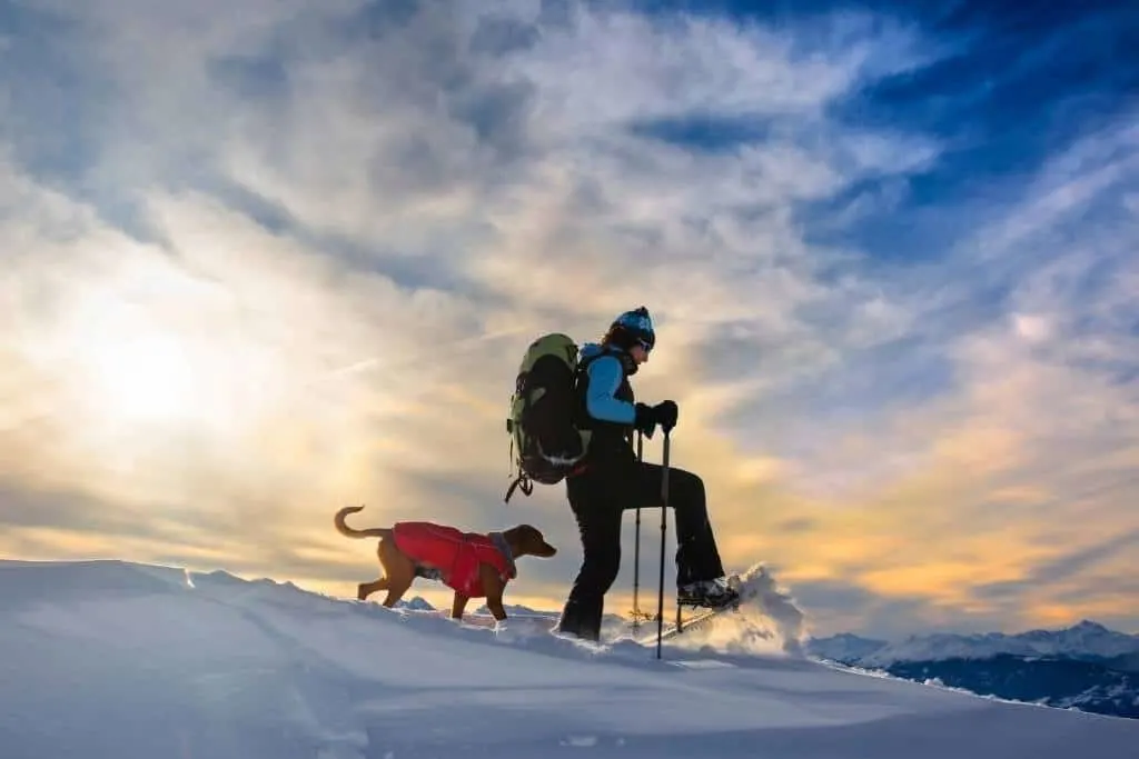 The Top 8 Snowshoes to Use This Winter to Explore. 10 Best Snowshoes For Snow Places.
