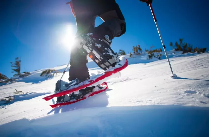 The Top 8 Snowshoes to Use This Winter to Explore.